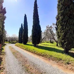 Dom wakacyjny Il Palagio, Vinci