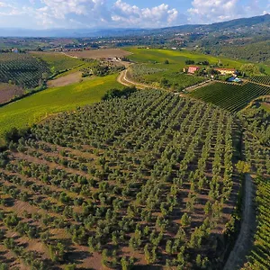 Séjour à la ferme Luggiano, Vinci
